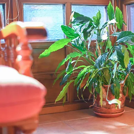 Apartament Rurales El Cuetu